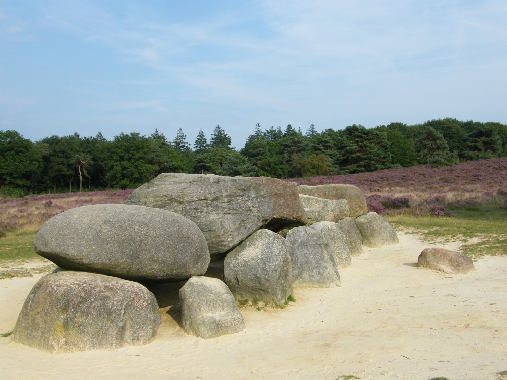 Hunebed tussen de bomen