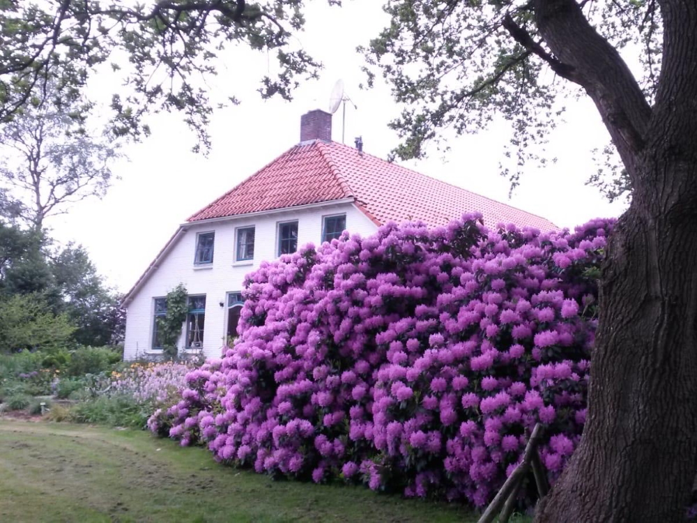 De groepsaccommodatie klaar voor nieuwe gasten